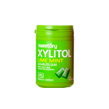 대영식품 브랜드 GUM에 속한 제품 중 XYLITOL GUM ORIGINAL 제품 이미지